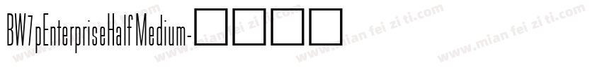 BW7pEnterpriseHalf Medium字体转换